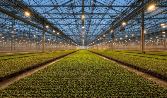 Kestria institute | Controlled environment agriculture: the future grows here