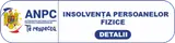 None/yqnoekxgb35q191b/insolventa-PICTOGRAMA.png